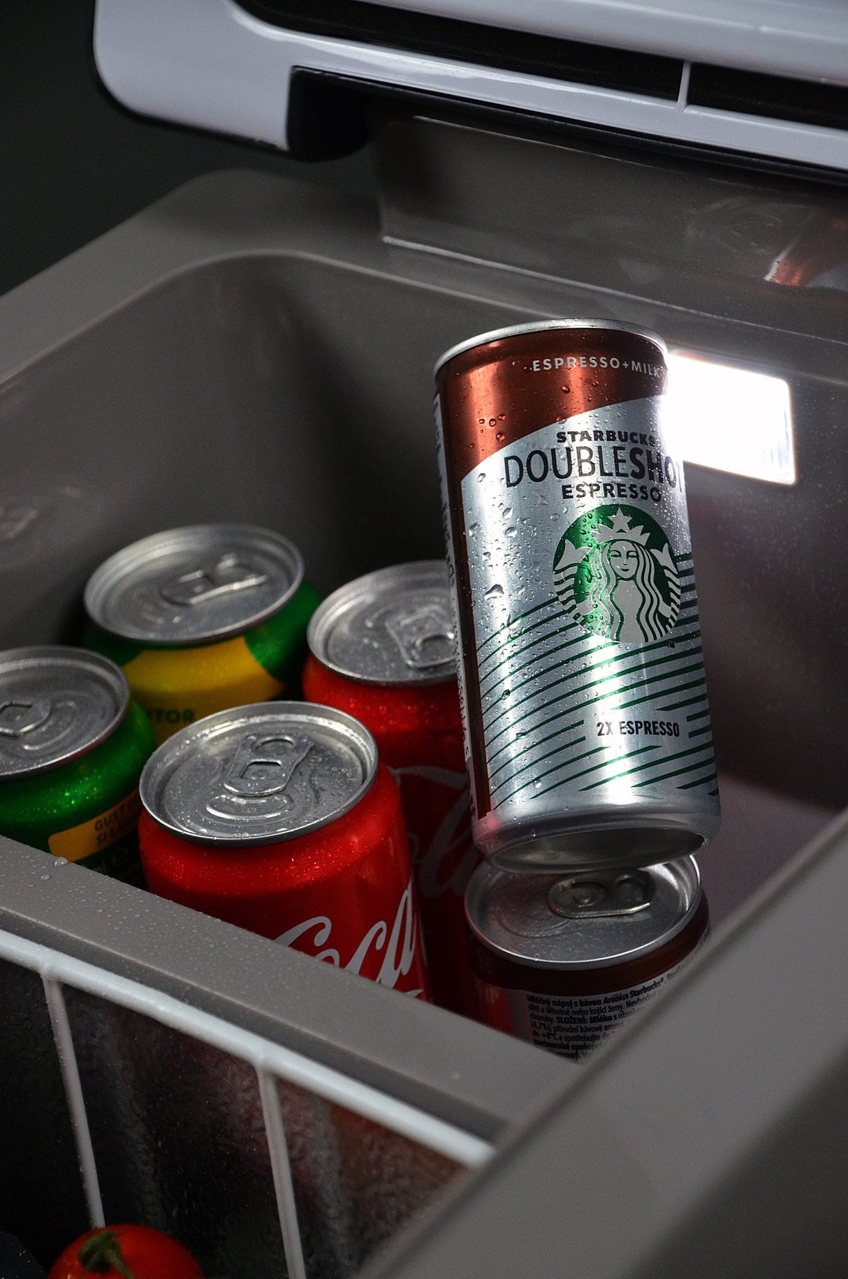 Frigider auto Overlander pentru camping 45l